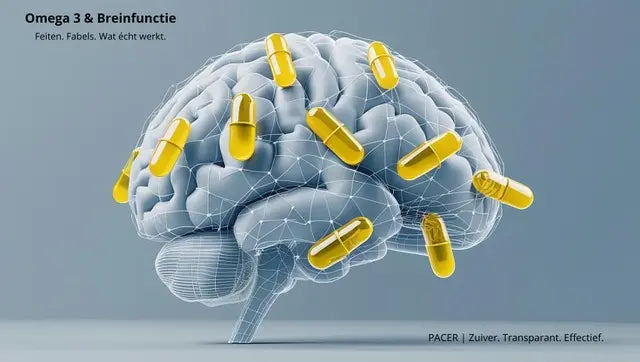 Visolie capsules rondom een 3D-gevisualiseerd brein – symboliseert de invloed van omega 3 op hersenfunctie en cognitieve prestaties.