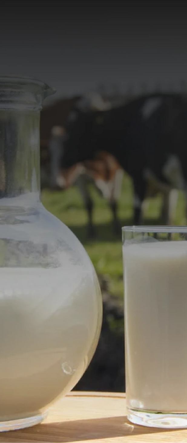 Gratis Afbeeldingen : hoofdpijn, migraine, geneeskunde, haarlok, hoofd,  pijn, vrouw, ziek, moe, meisje, wanhoop, onwel, bezit, voorhoofd, concept,  letsel, handen, Gezondheid, masseren, frustratie, ziekte, probleem, haar-,  telepathic, gezicht, geel ..., image size:618x1466